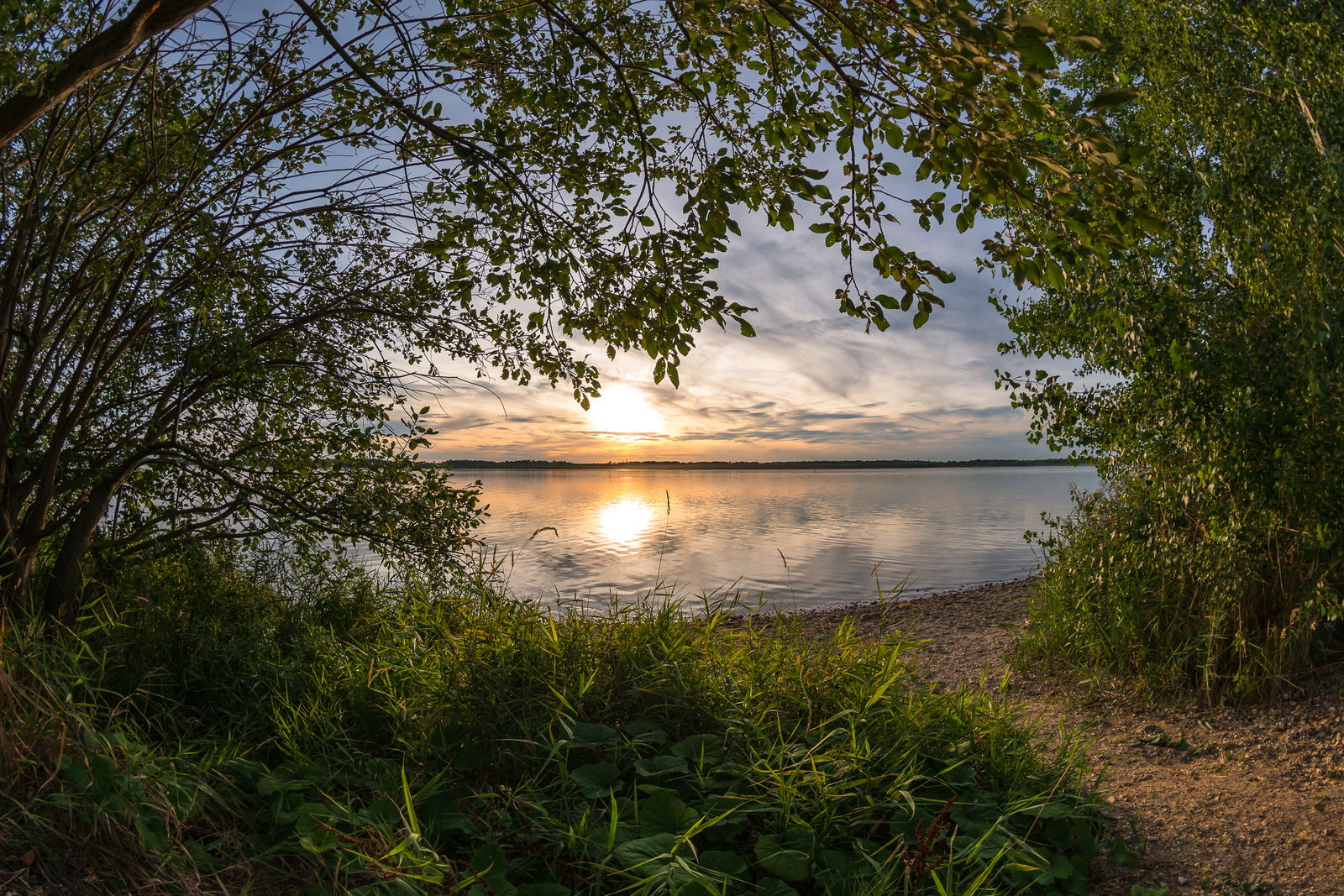 Cospudener See bei Leipzig im Sonnenuntergang