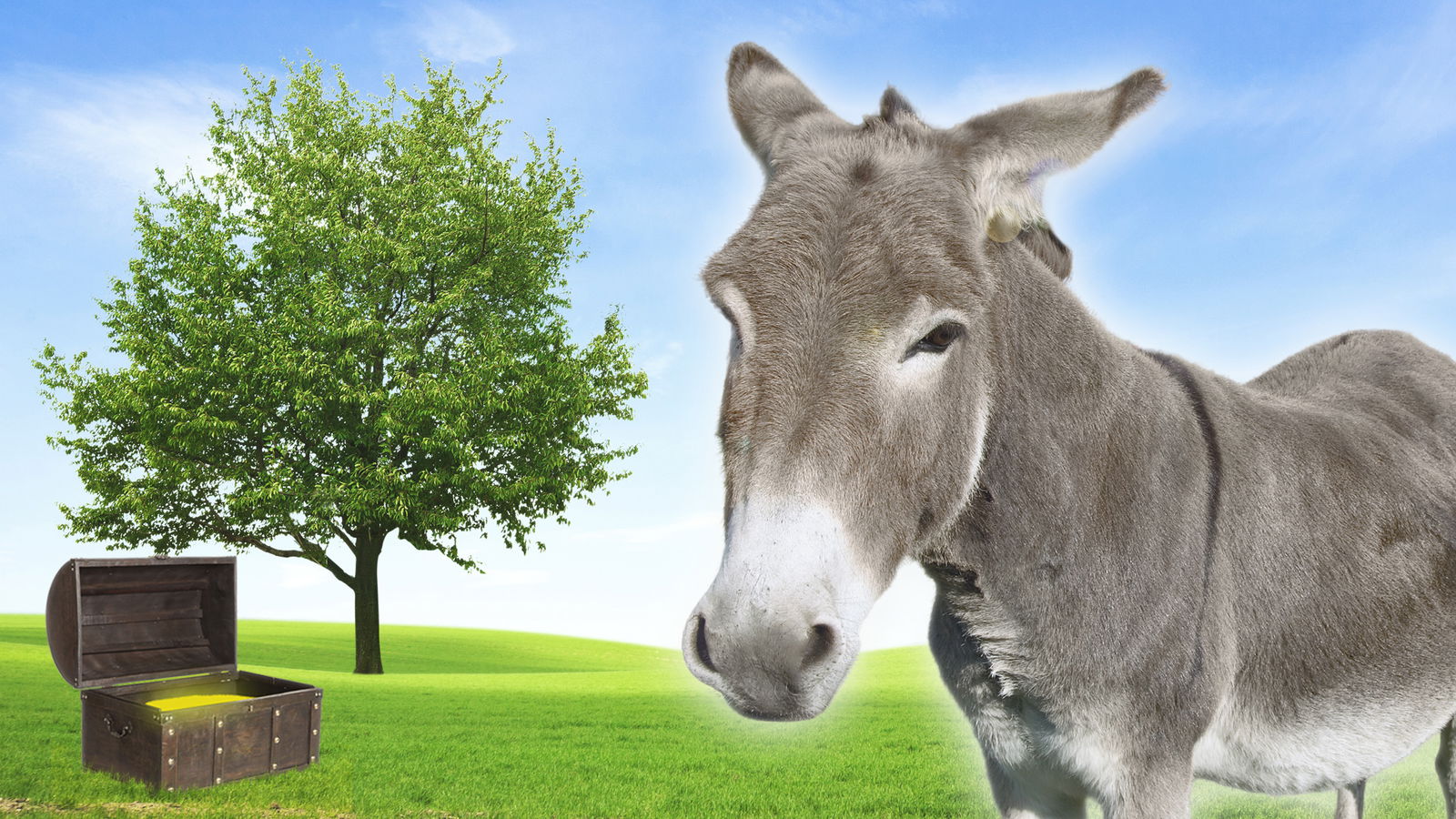 R.SA Goldesel-Experiment Titelbild