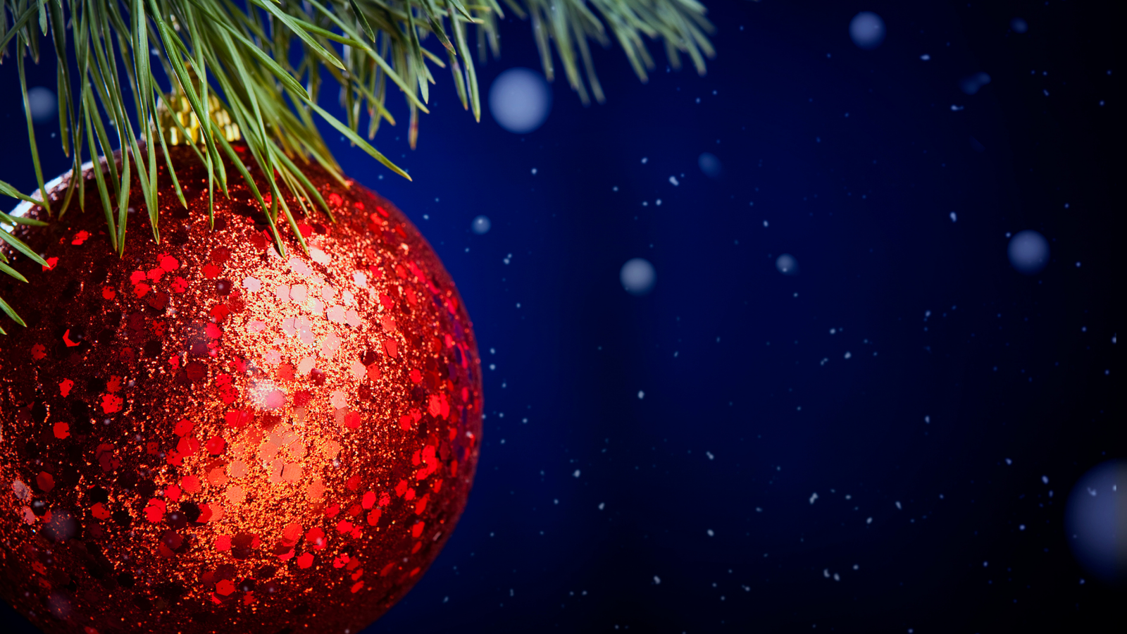 Aktionsmotiv 1 Sachsens schönster Weihnachtsbaum 2021