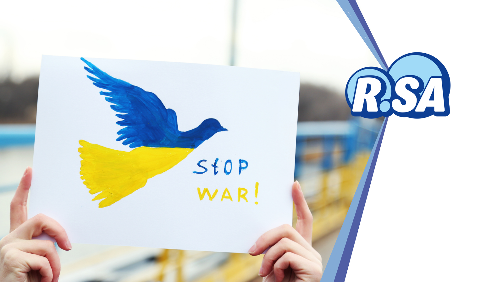 Kleine Weiße Friedenstaube R.SA Friedenshymne