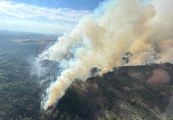 Waldbrand Winterberggebiet Landratsamt Pirna