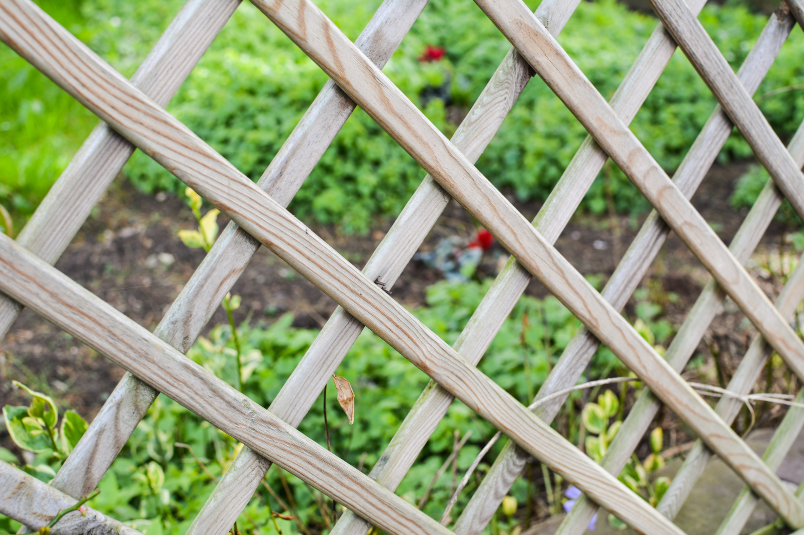 Gartenzaun