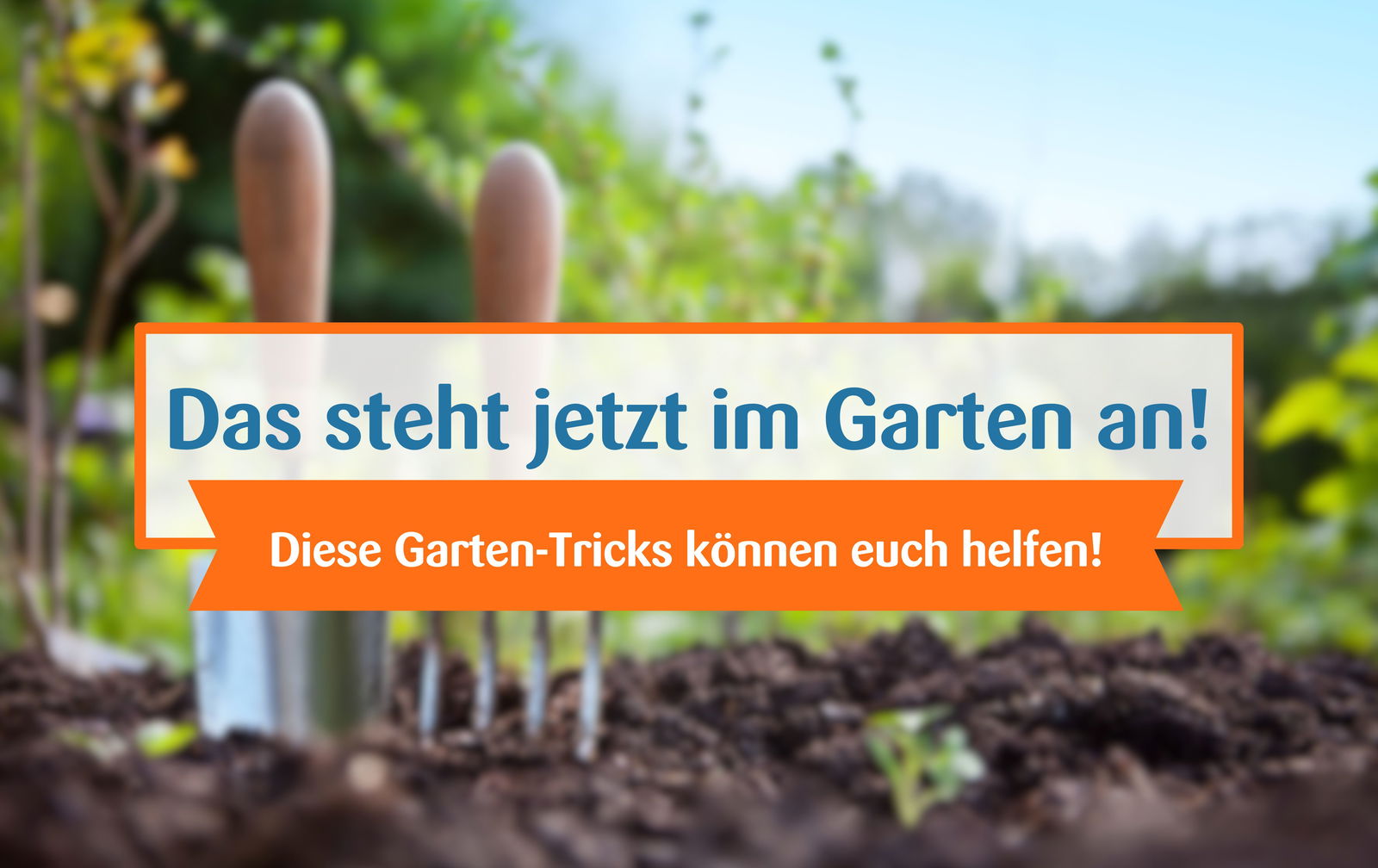 Das steht im Garten an