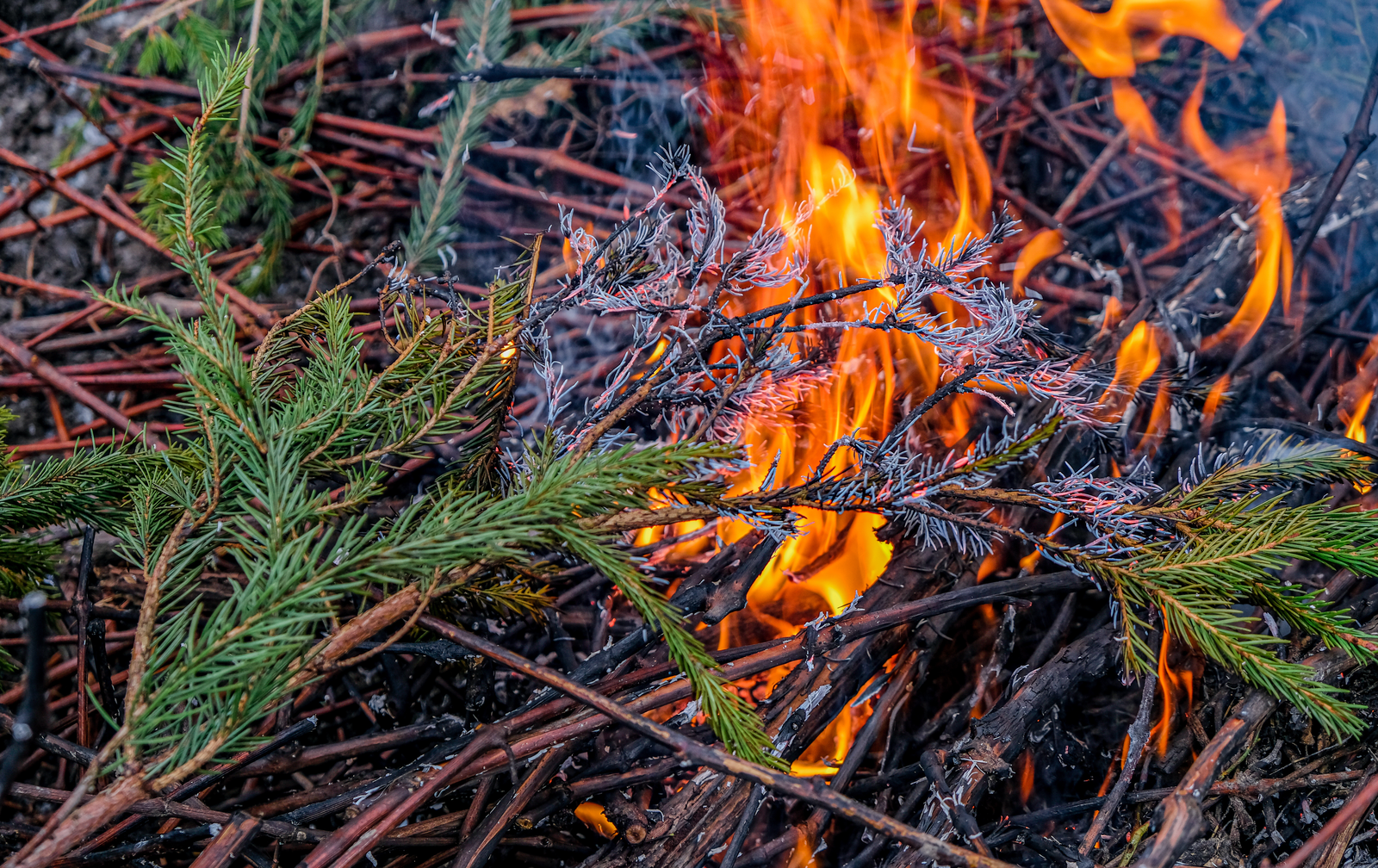 R.SA Knutfeste-Artikel