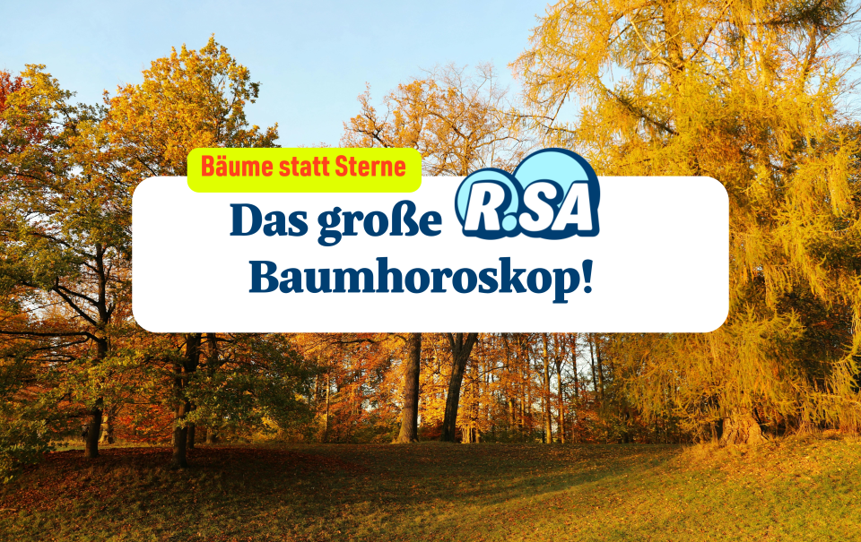 Bäume statt Sterne: Das große R.SA Baumhoroskop!  Im Hintergrund ist ein orangener, herbstlicher Wald zu sehen.