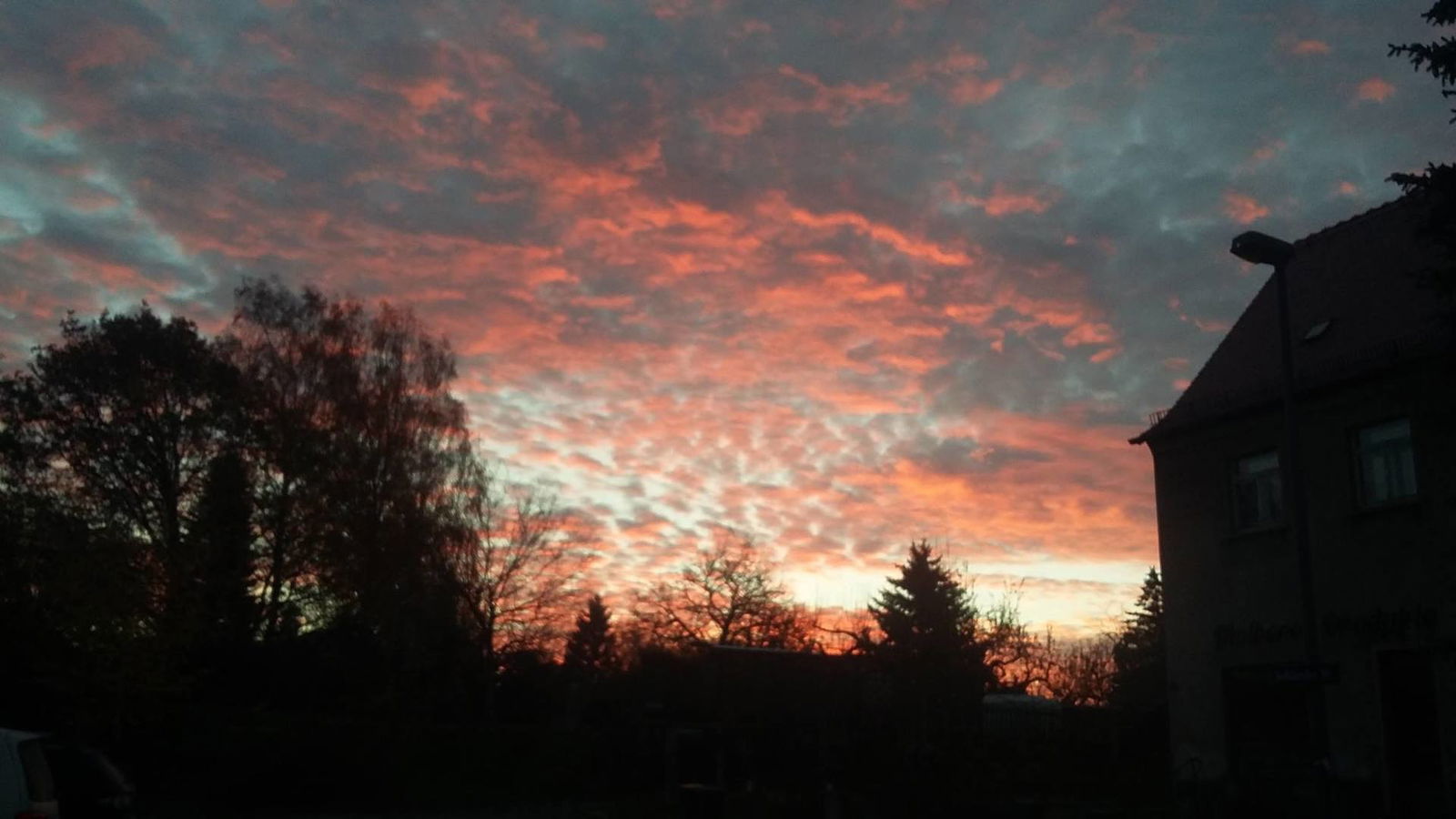 André Groß - Dresden.jpg