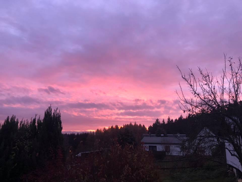 André Rill - Bärenloh Siedlung.jpg