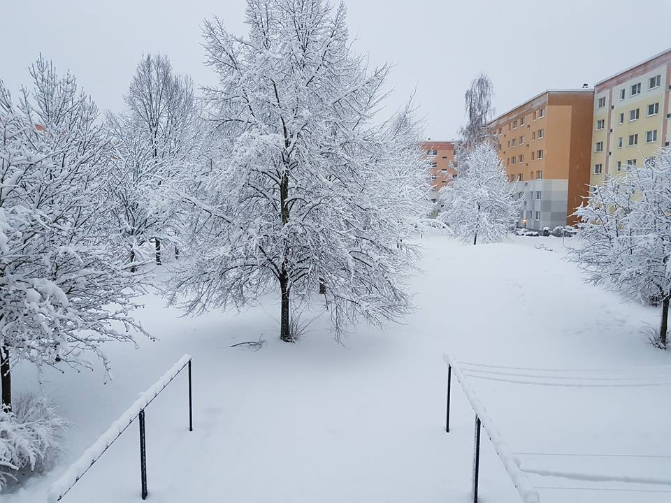 Chemnitz - Annett Löche.jpg