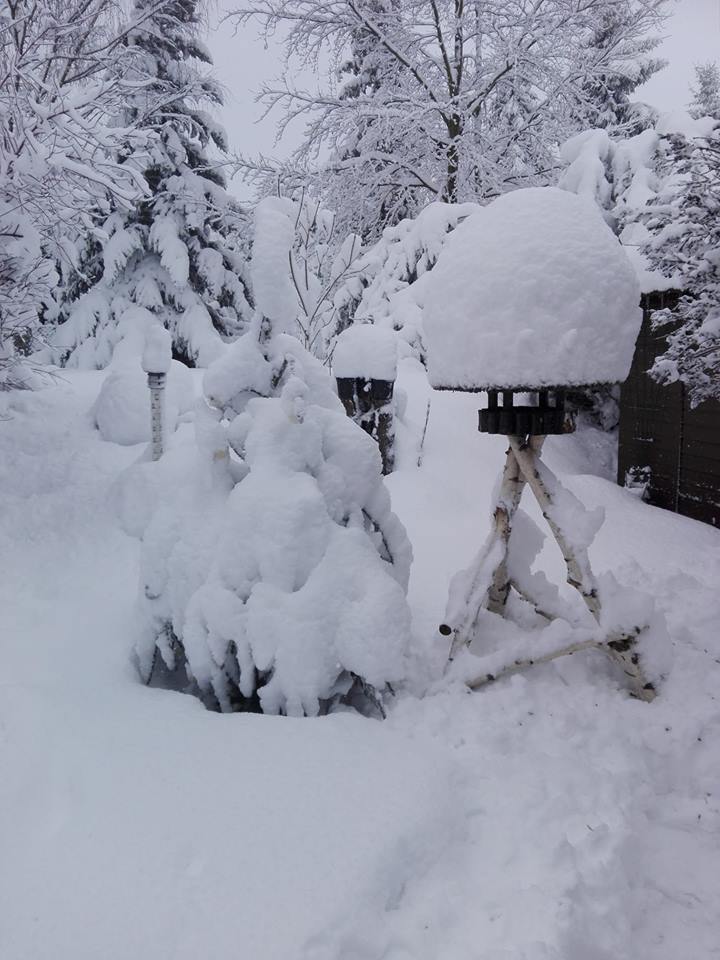 Chemnitz - Gabriele Klemm.jpg