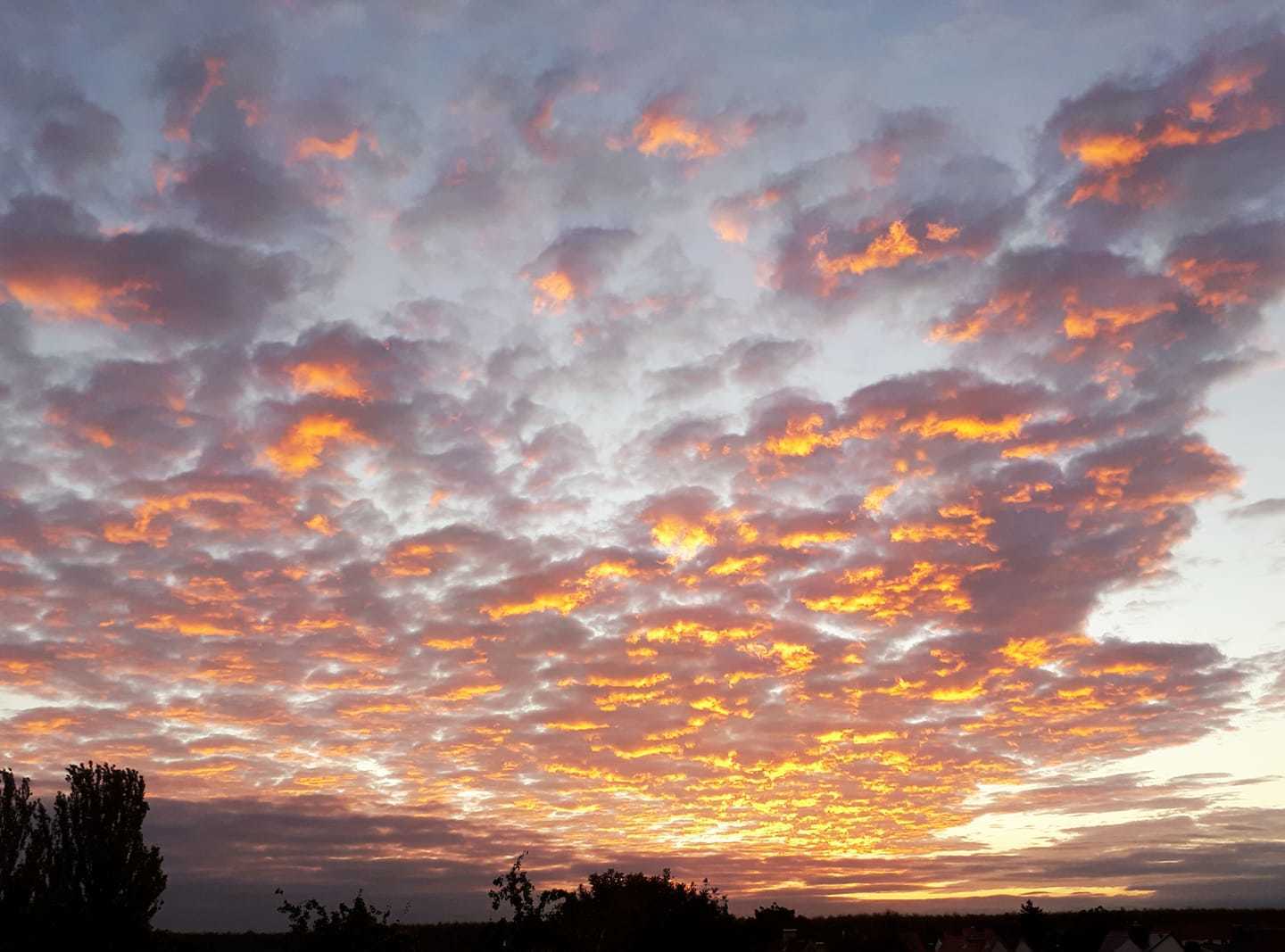 Doreen Reihe - Delitzsch.jpg