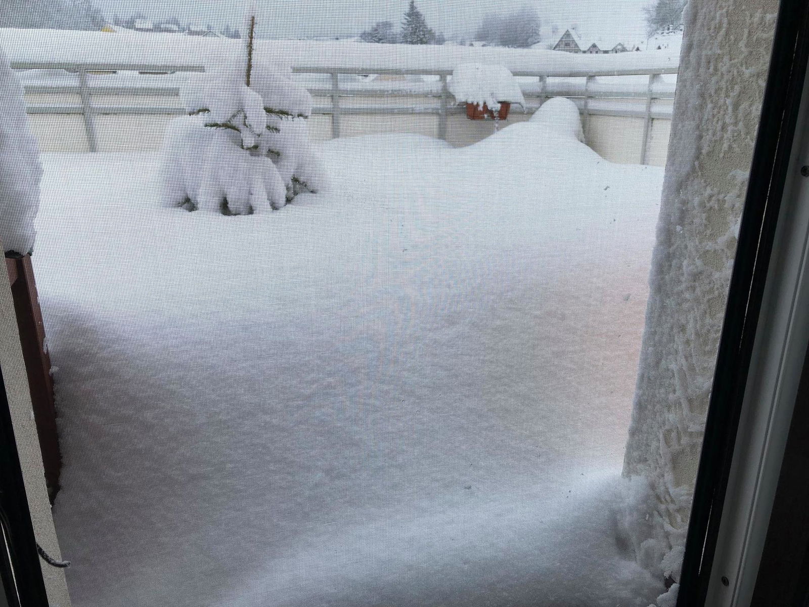 Eibenstock - CHristin Oelsner.jpg