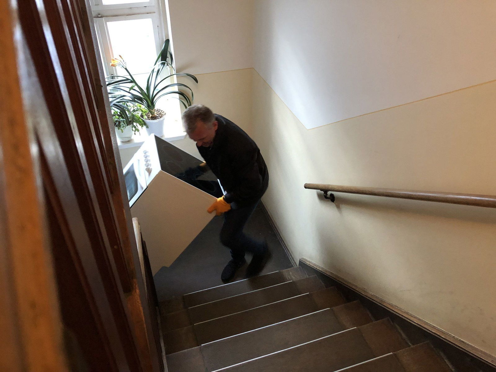 FallfuerFischer_Herd1 (2).jpg