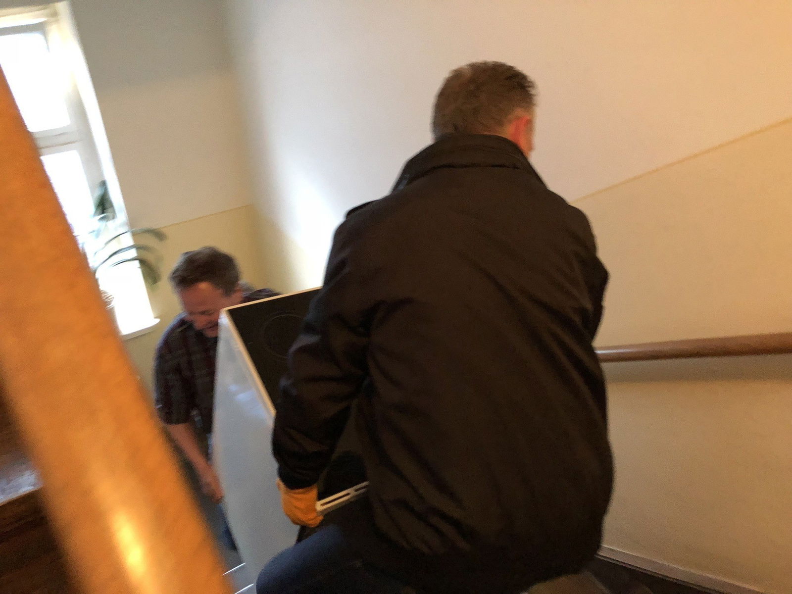 FallfuerFischer_Herd1 (5).jpg