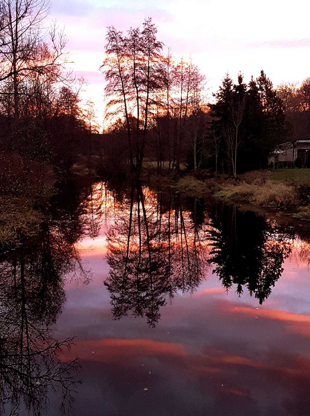 Fuchsl - Freiberg.jpg