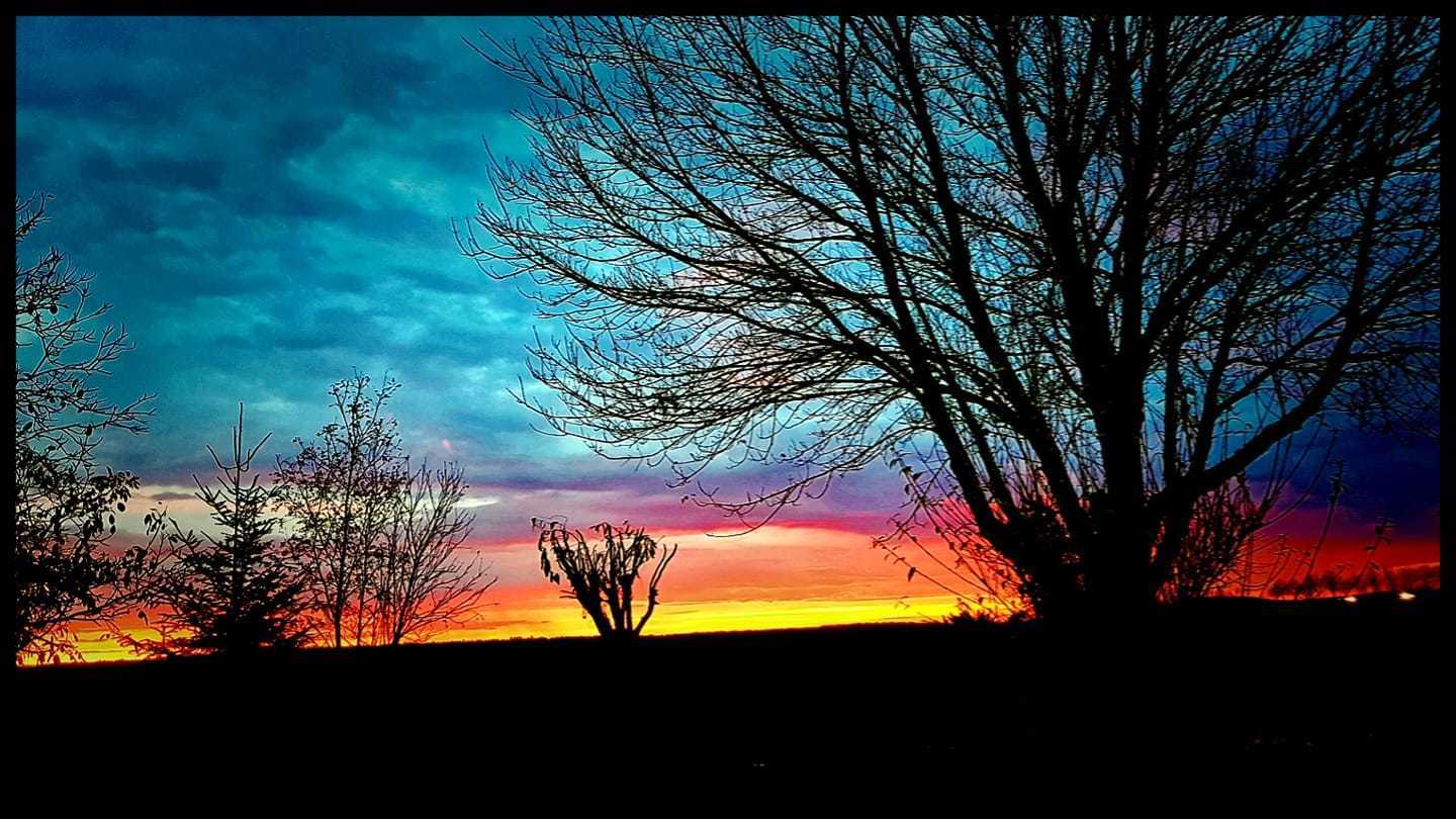 Kathleen Paulsen - Schmannewitz.jpg