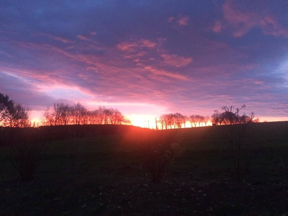 Marco Fischer - Schlettau.jpg