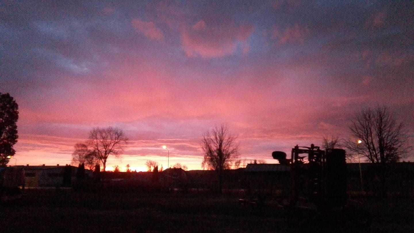 Michael Köthing - Altmittweida.jpg