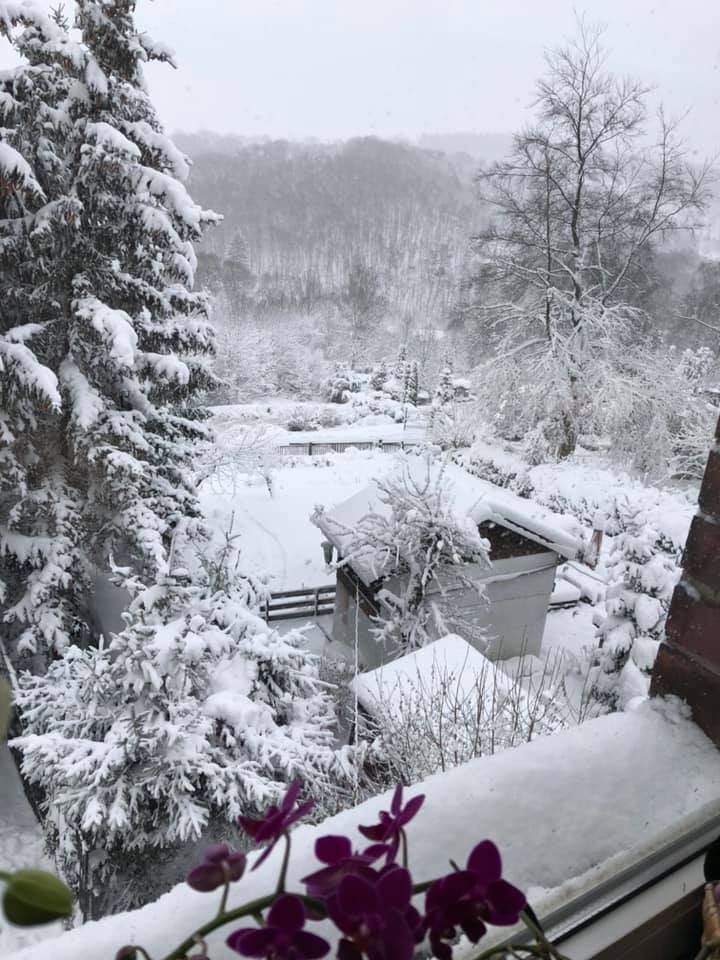 Netzschkau - Jenny Moch.jpg