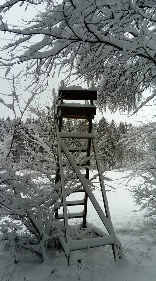 Netzschkau - Nadine Götz.jpg