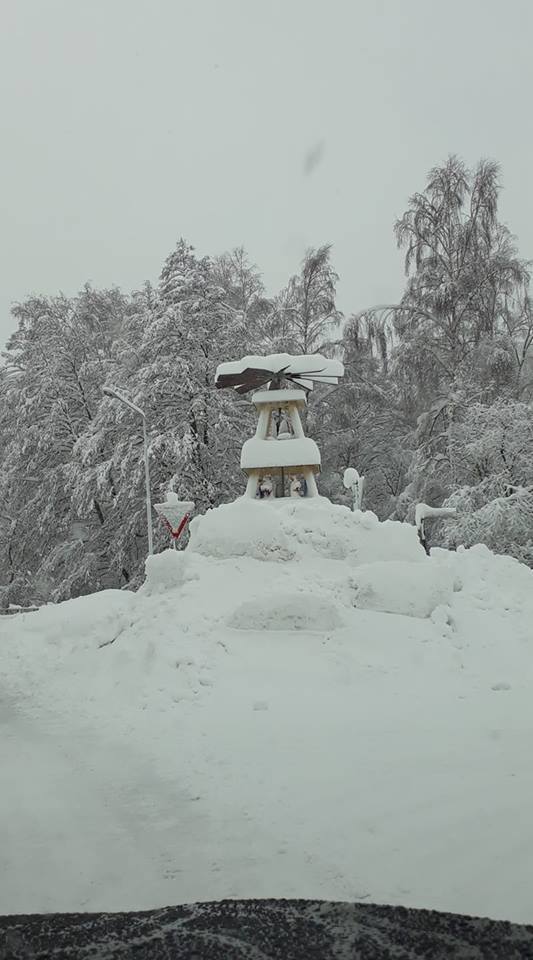 Neuhausen - Birgit Jäcke.jpg
