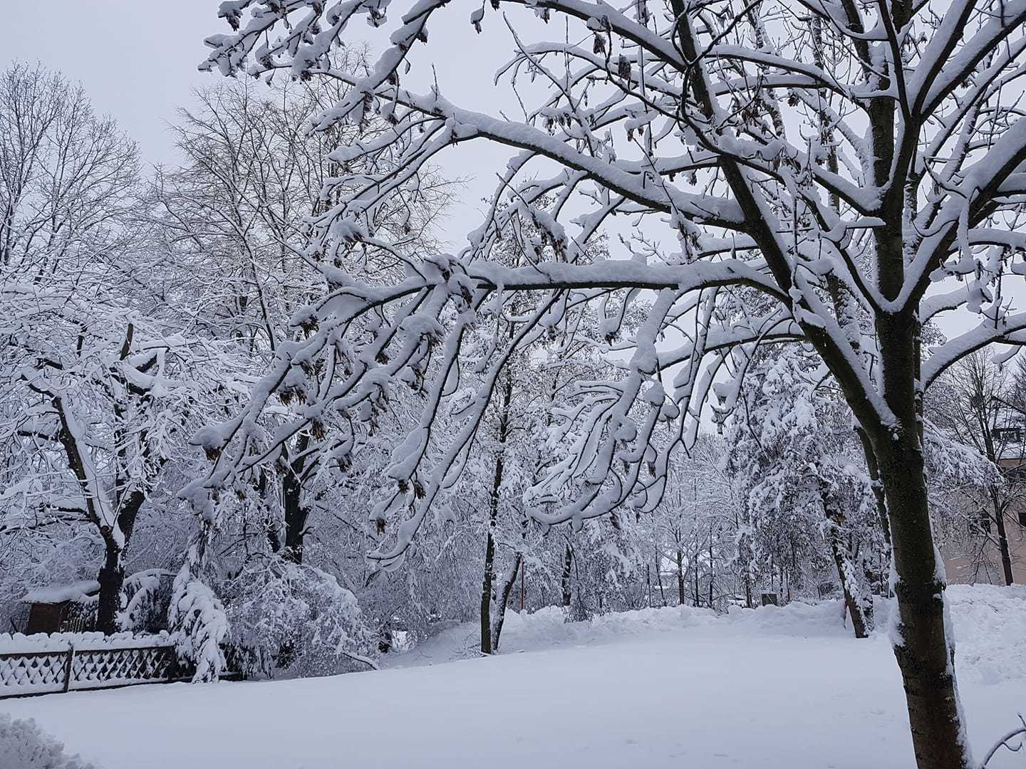 Oberlungwitz - Stefanie Hoger.jpg
