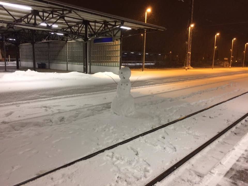 Richard Thum - Freiberg.jpg