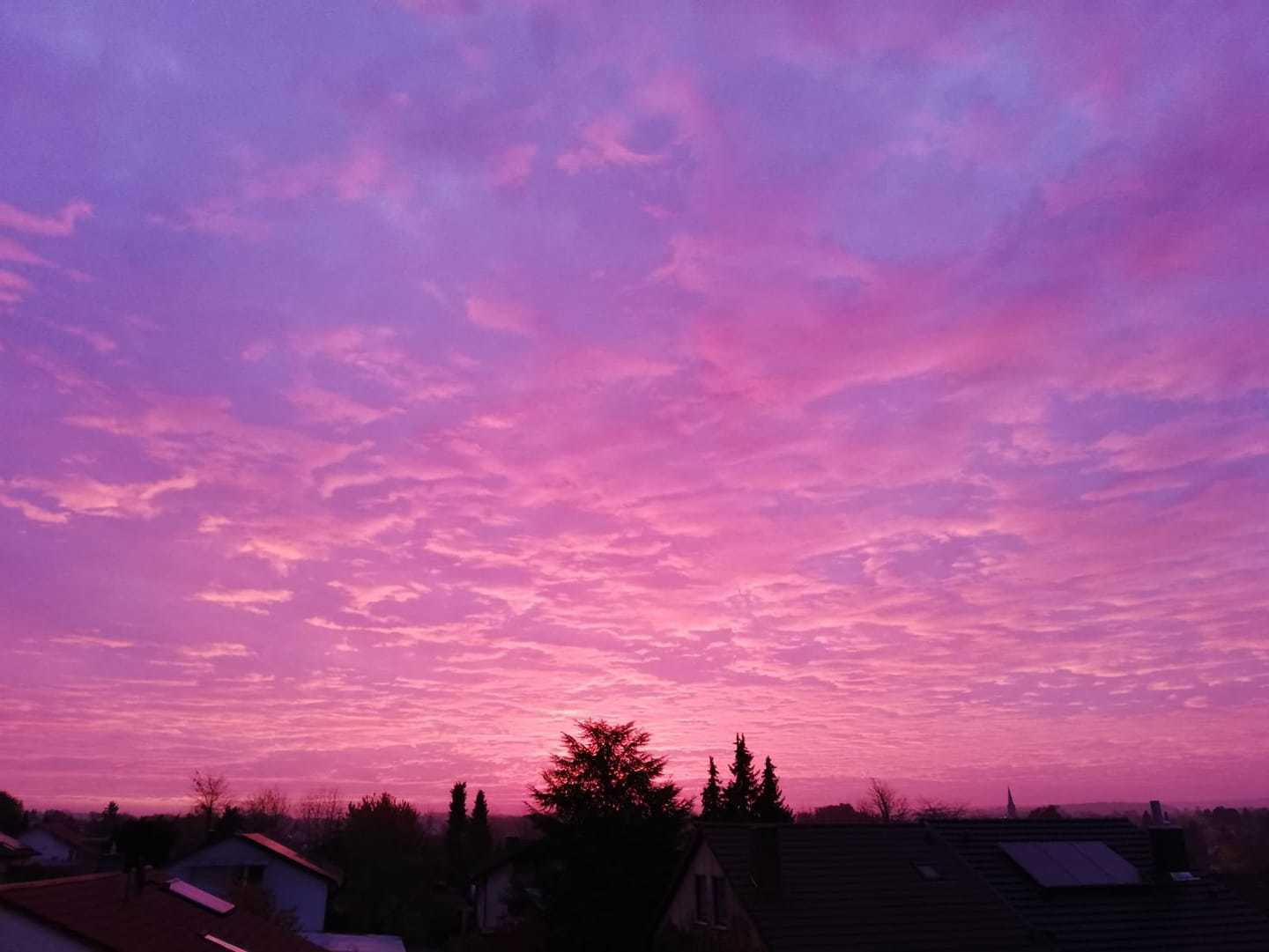 Susanne Wildemann.jpg