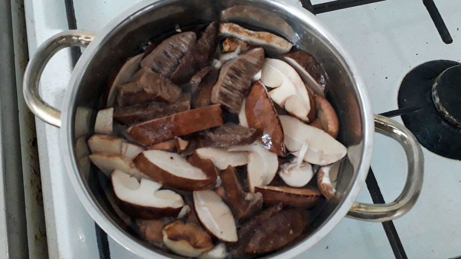 Super-Poschis gesammelte Pilze