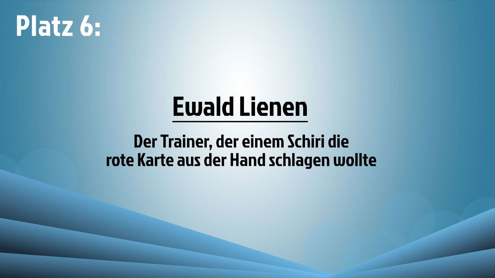 Trainer Panne 6